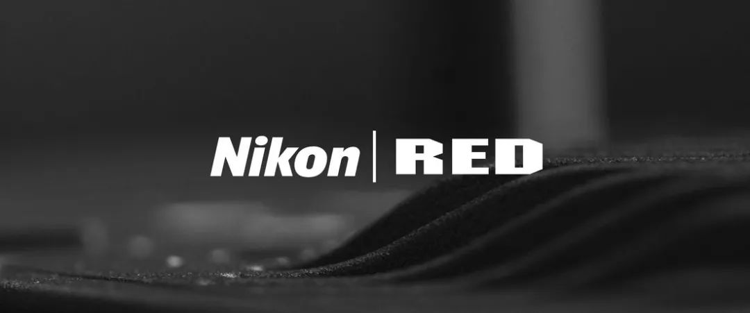 Miscellaneous Talk｜What technologies in RED are worth absorbing by Nikon?